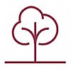 Aktuelles - Logo Baum