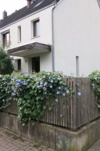Reihenendhaus in Hannover-Bemerode – Foto 4 von 5