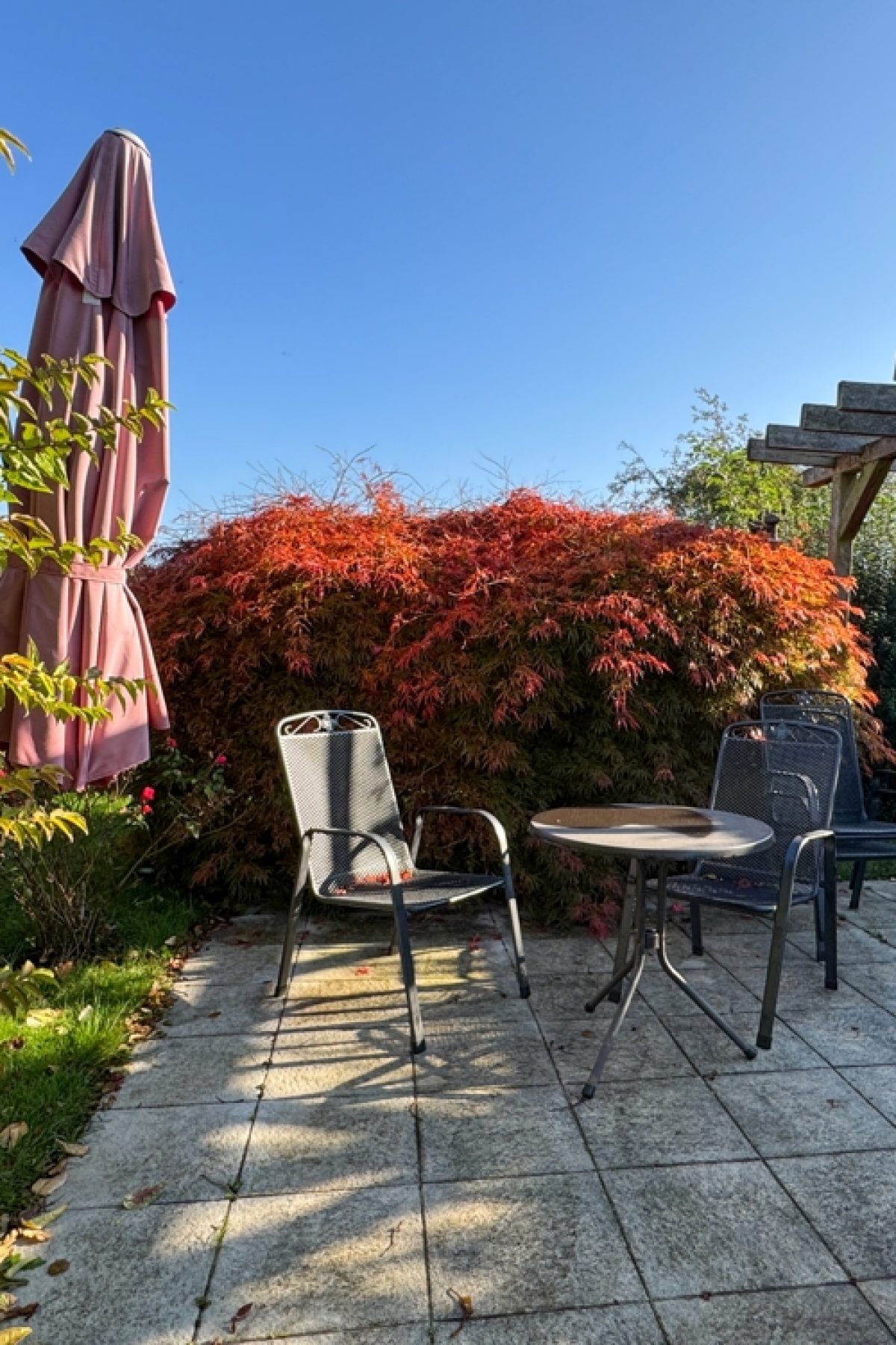 Einfamilienhaus in Hemmingen – Foto 5 von 8