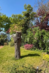 Reihenendhaus in Hannover-Ricklingen – Foto 3 von 7